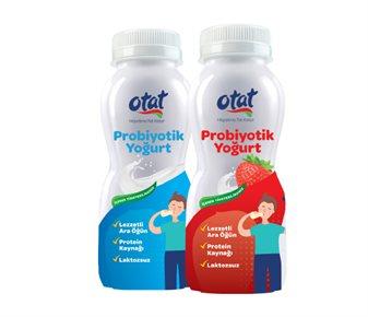 Otat Probiyotik