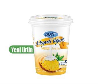 DOST ANANASLI MEYVELİ YOĞURT